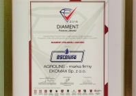 Dyplom - Diament Polskiej Jakości